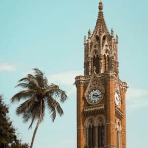 Colors of India's Golden Triangle & Rajasthan with Kerala