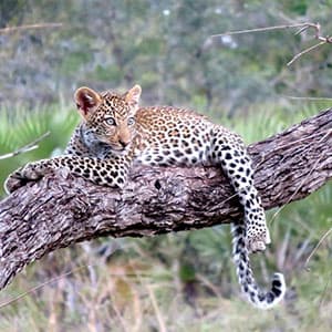Tanzania: The Serengeti & Beyond with Serengeti extended stay